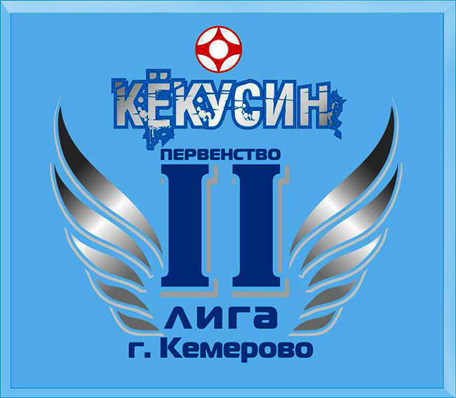 Первенство Кемерово по киокусинкай