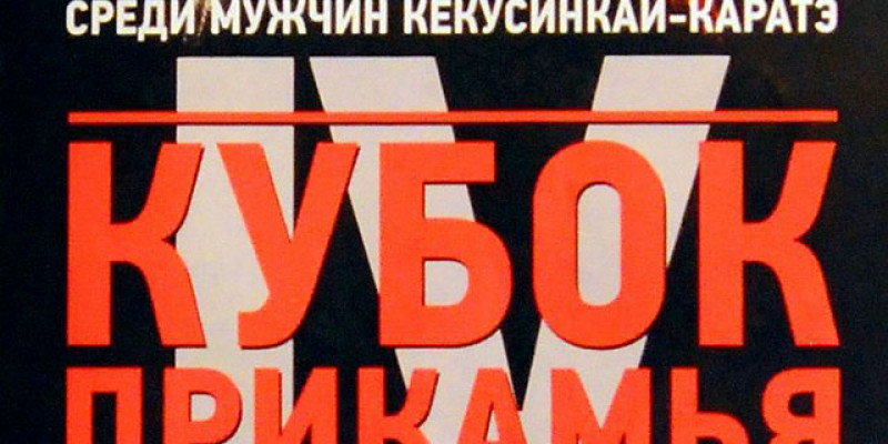 IV международный профессиональный турнир по Кекусинкай 