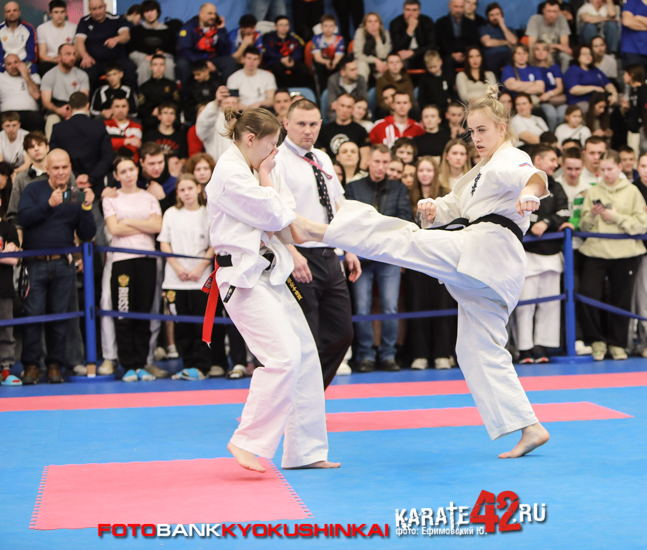 EfimovskiyYGe-0302