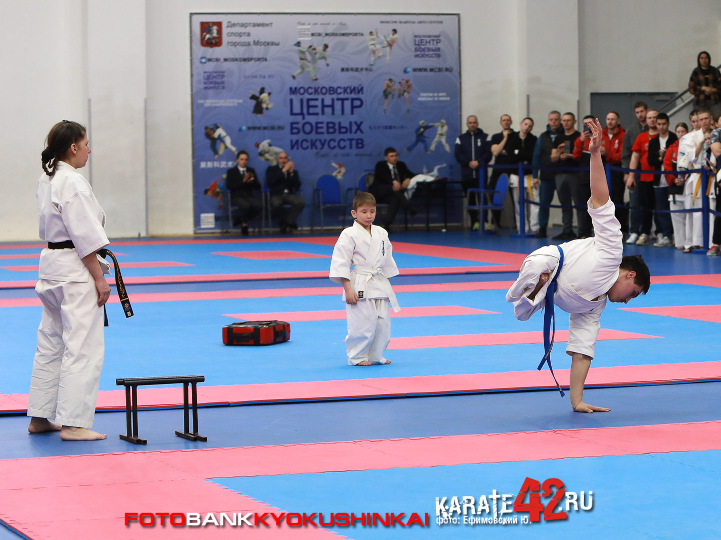 EfimovskiyYGe-6851
