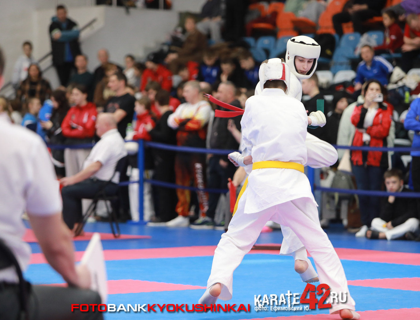 EfimovskiyYGe-7127