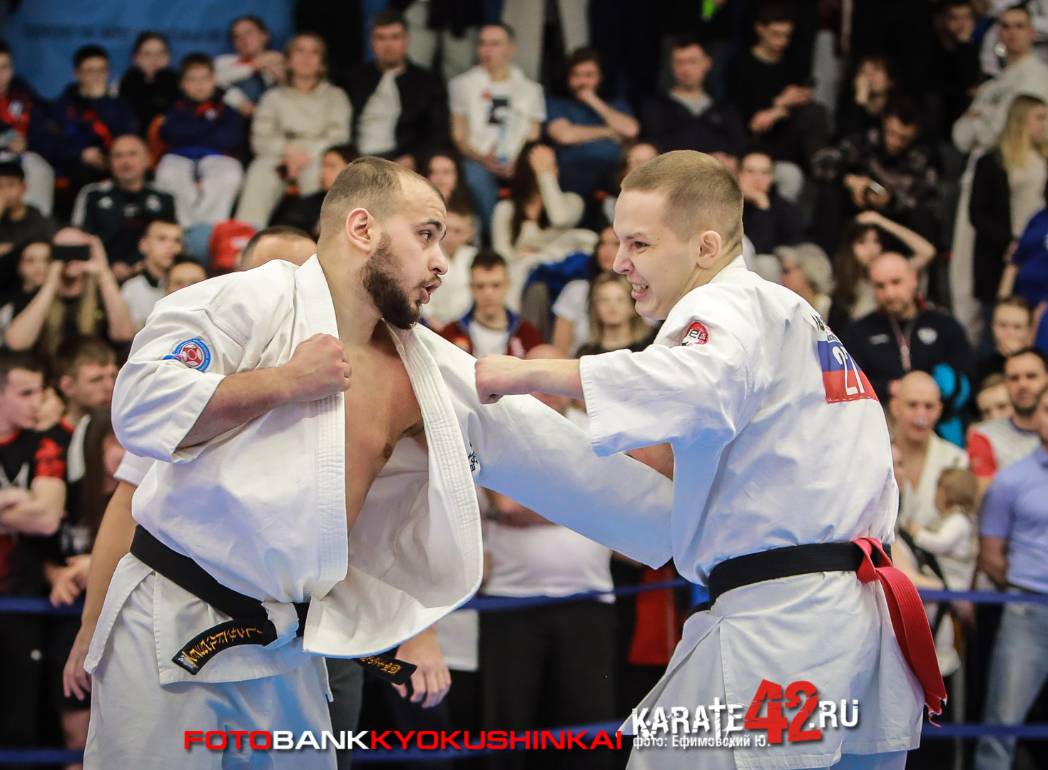 EfimovskiyYGe-8273