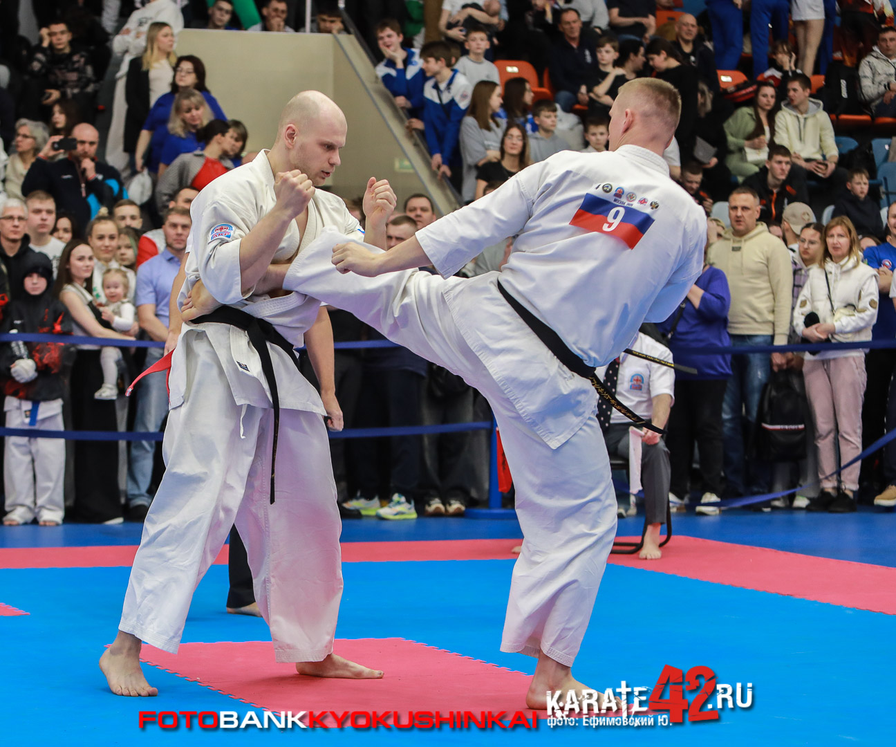 EfimovskiyYGe-8291