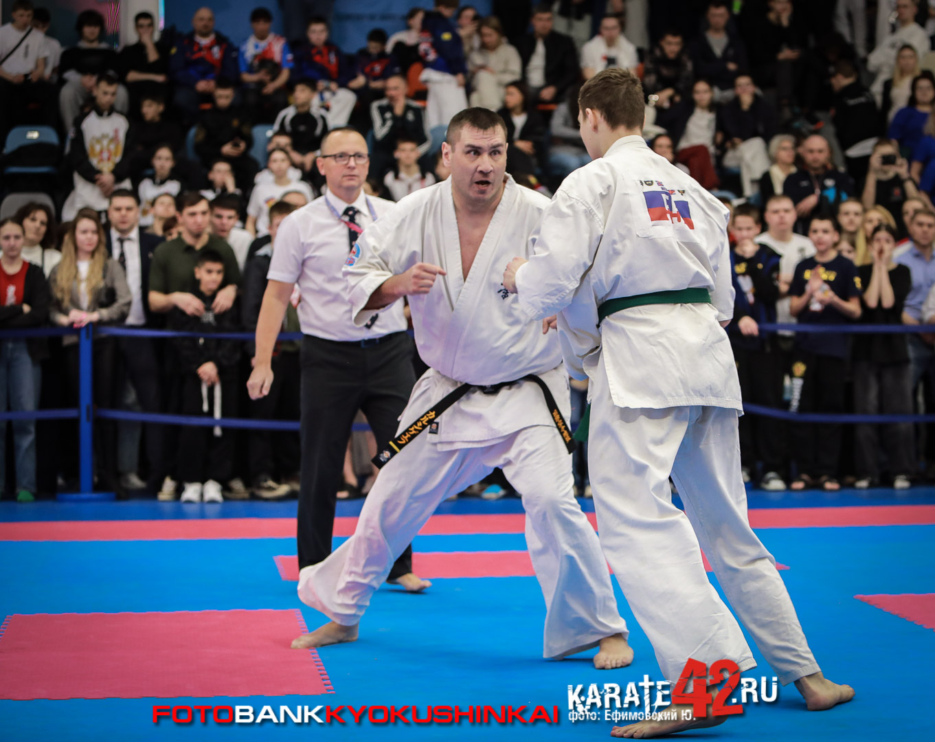 EfimovskiyYGe-8410