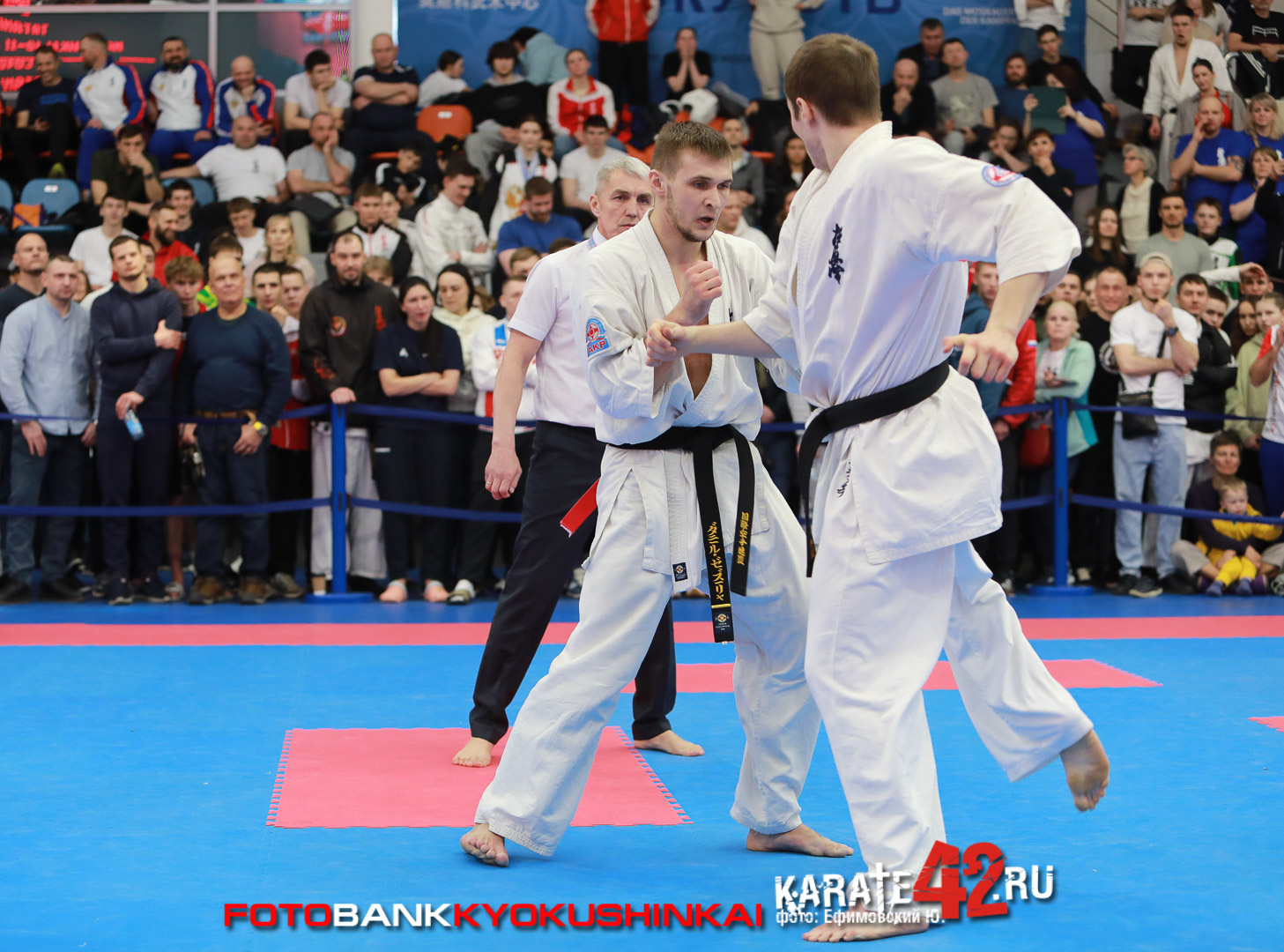 EfimovskiyYGe-9481