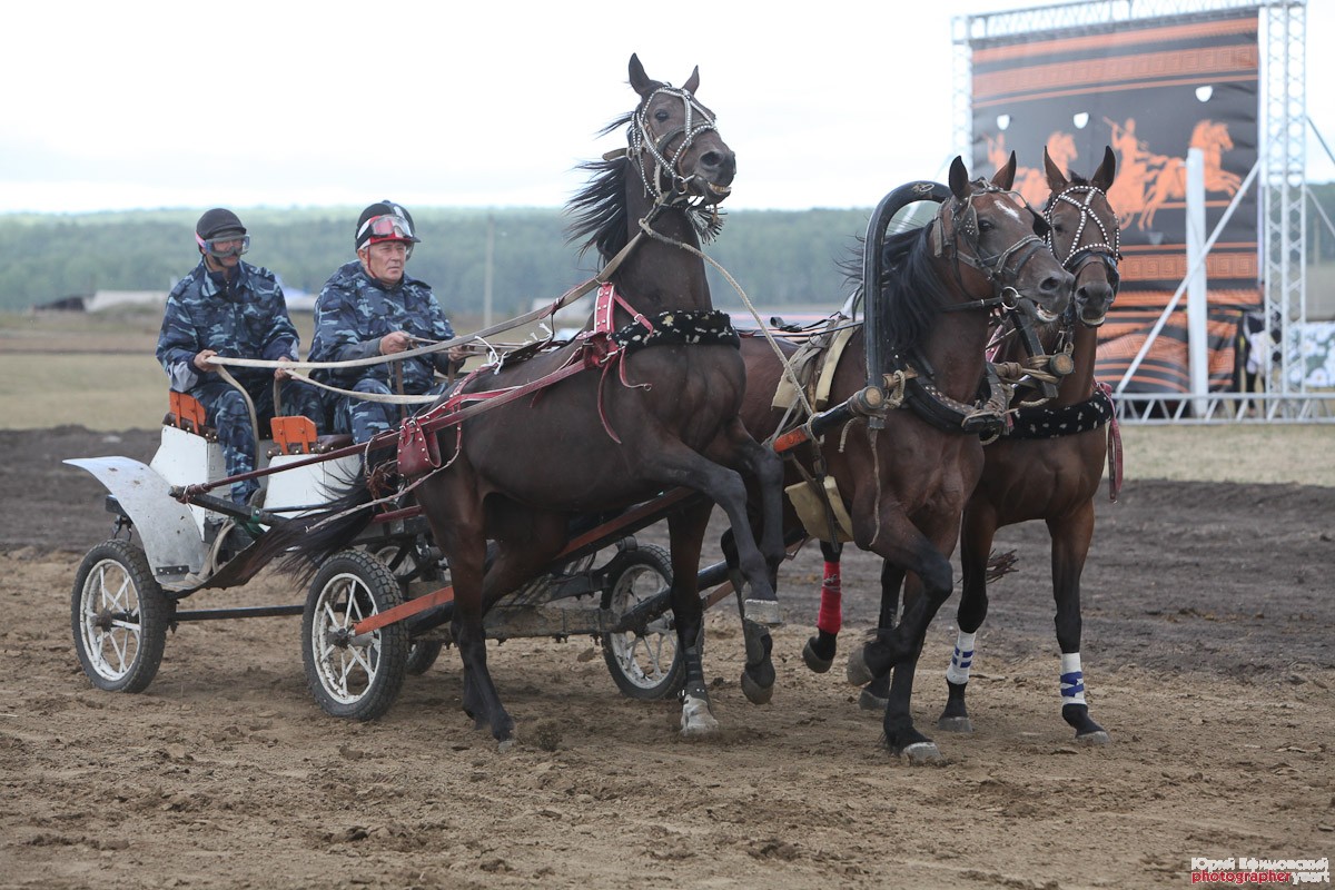 IMG_9437