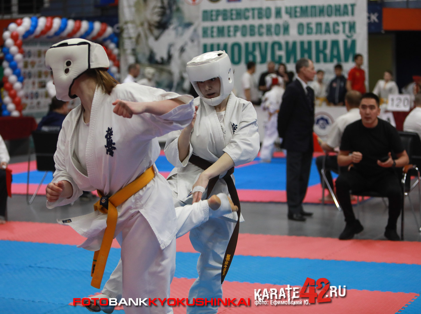 EfimovskeyYuG-3982