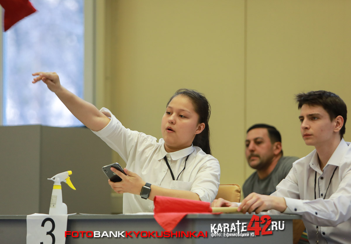 EfimovskeyY-0542