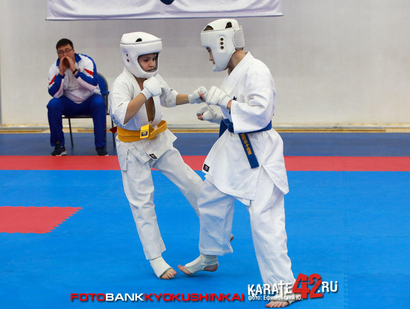 EfimovskiyYGe-8351
