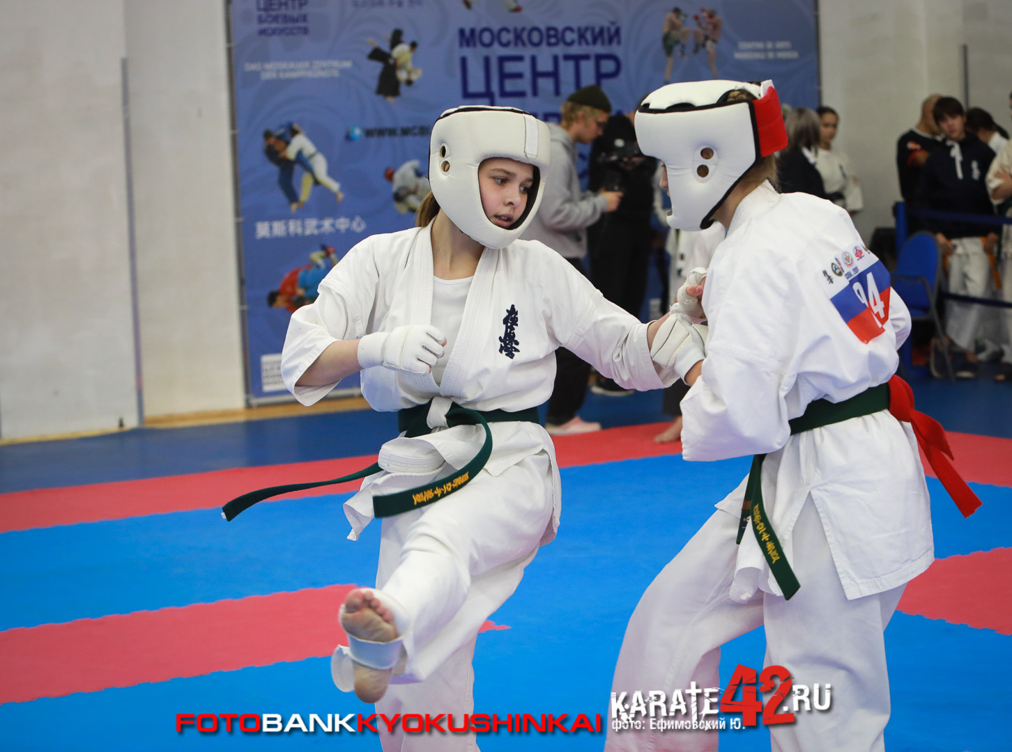 EfimovskiyYGe-8367