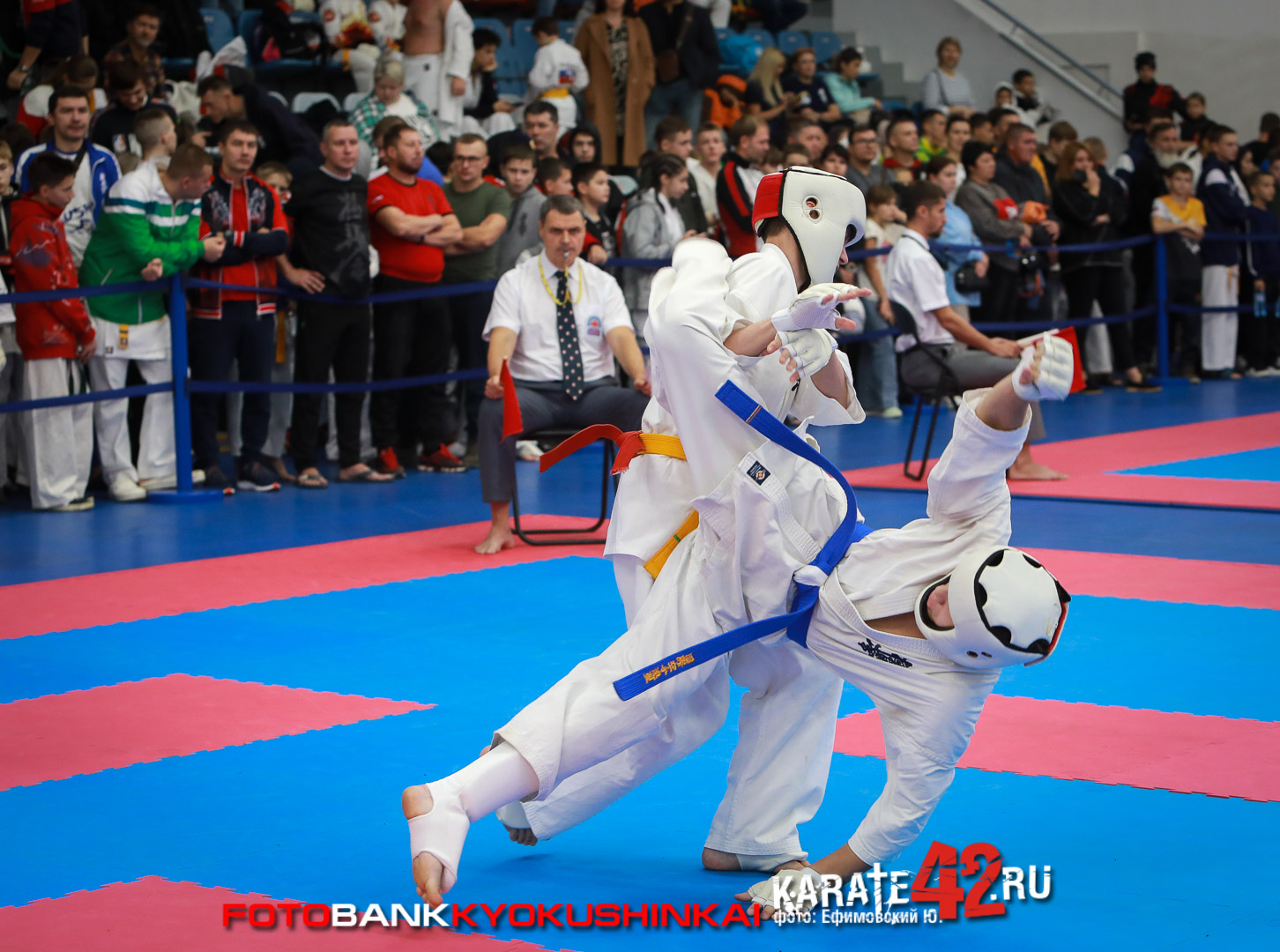 EfimovskiyYGe-8391