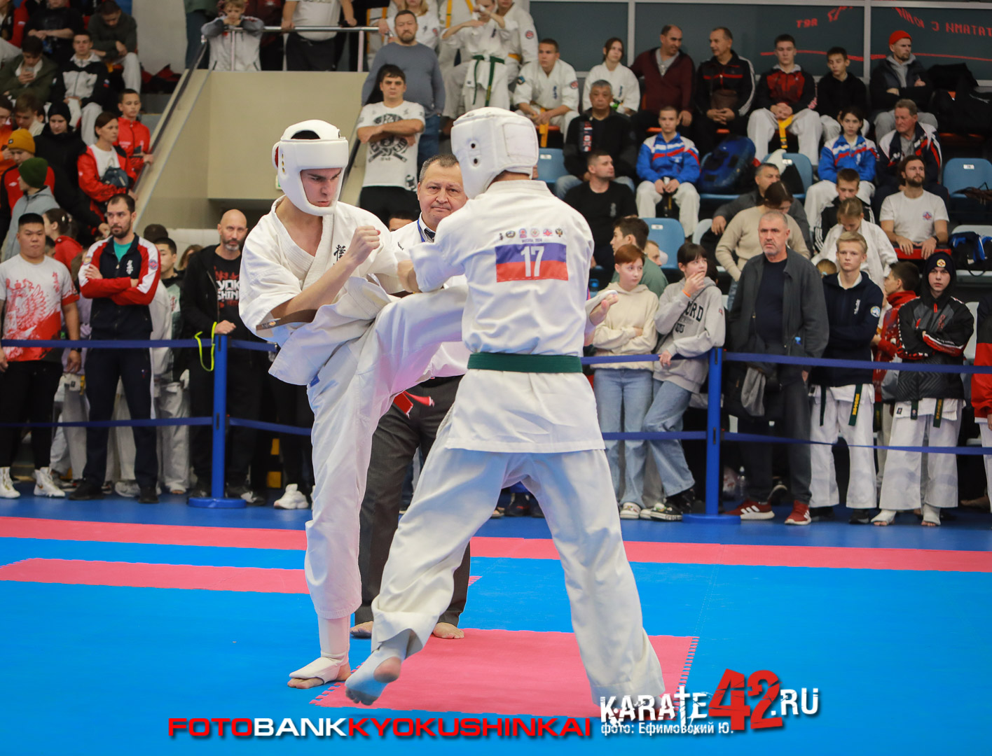 EfimovskiyYGe-8433