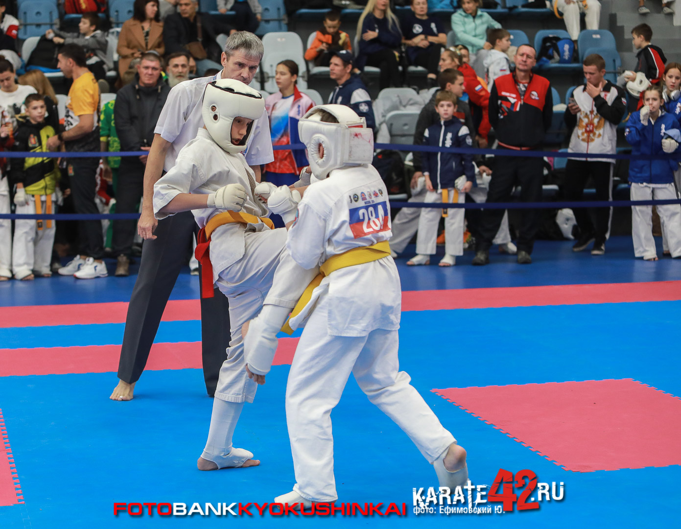 EfimovskiyYGe-8534