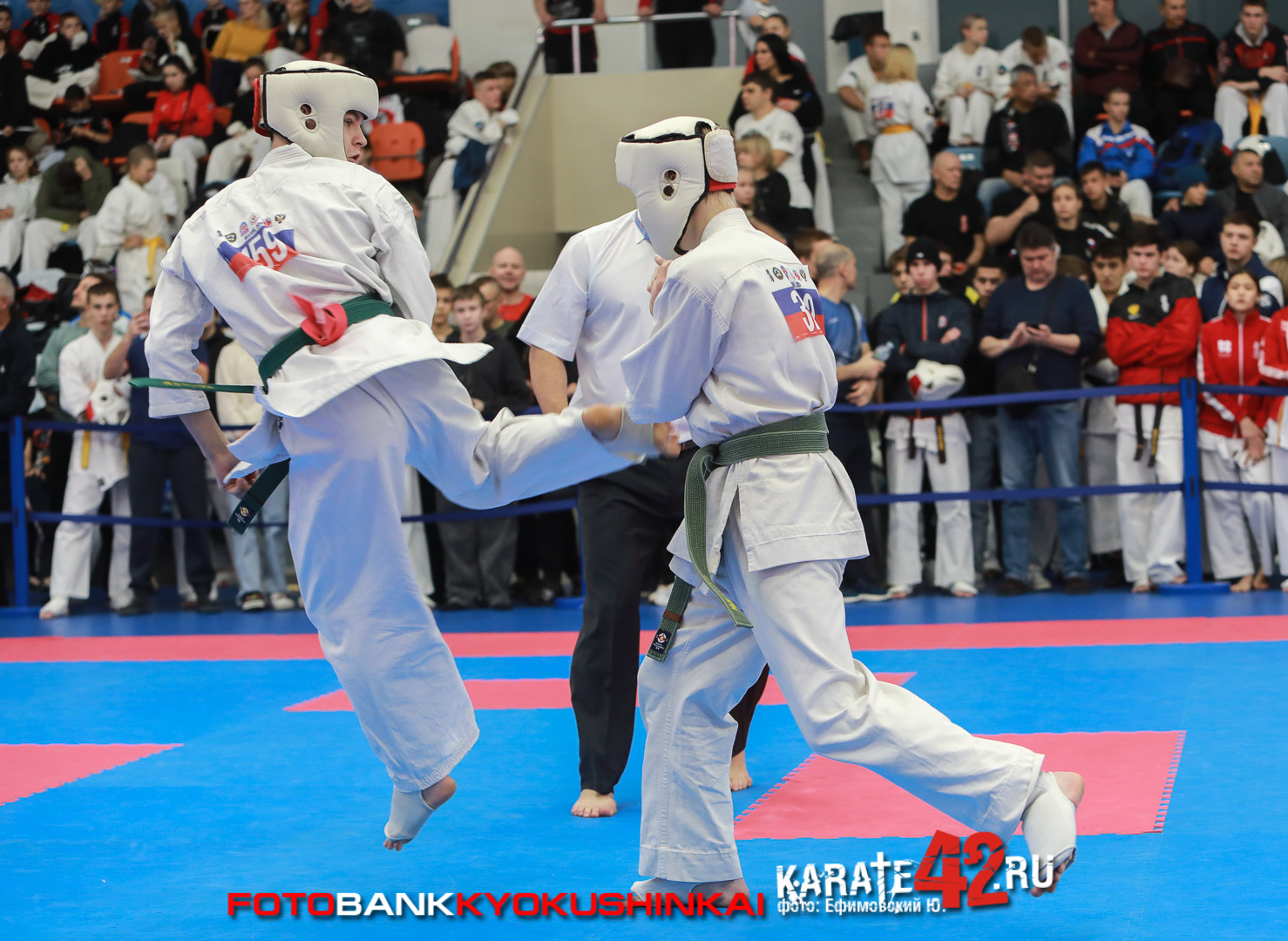 EfimovskiyYGe-8563