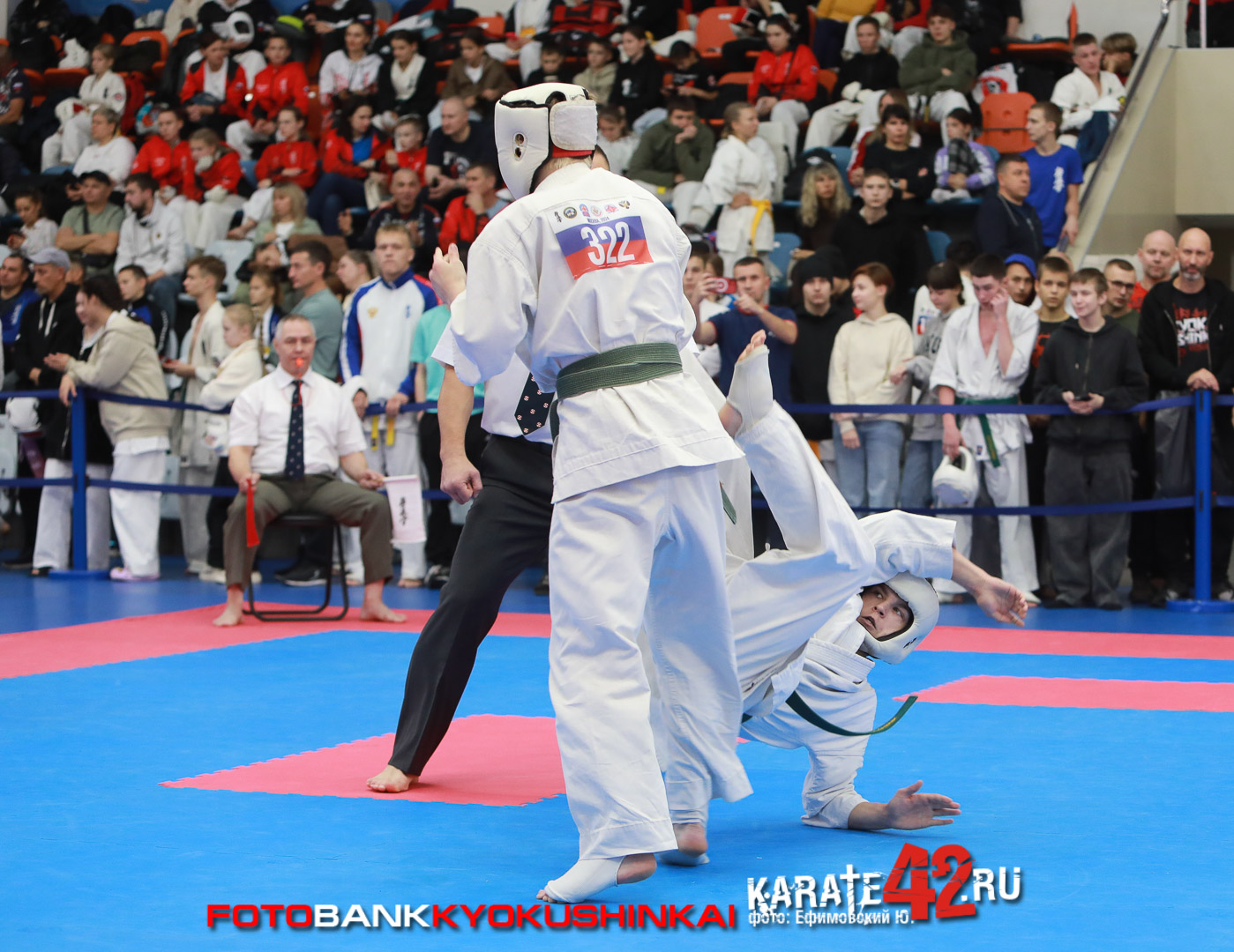 EfimovskiyYGe-8590