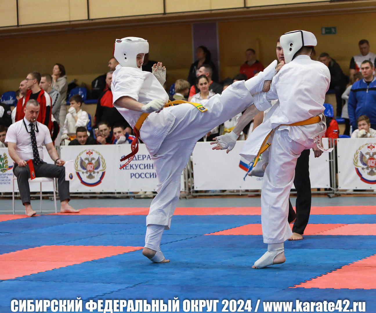 EfimovskiyYG-0036