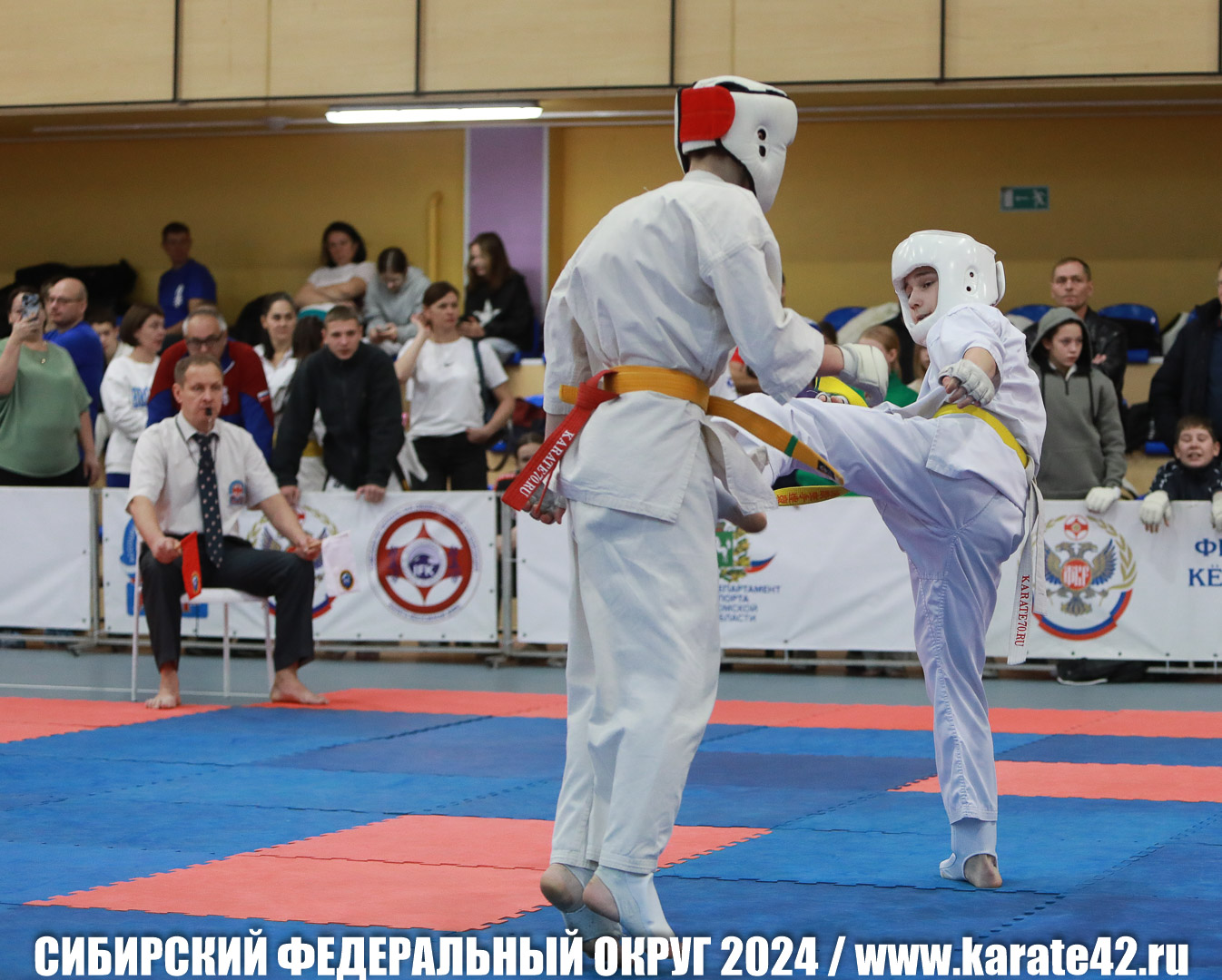 EfimovskiyYG-0086