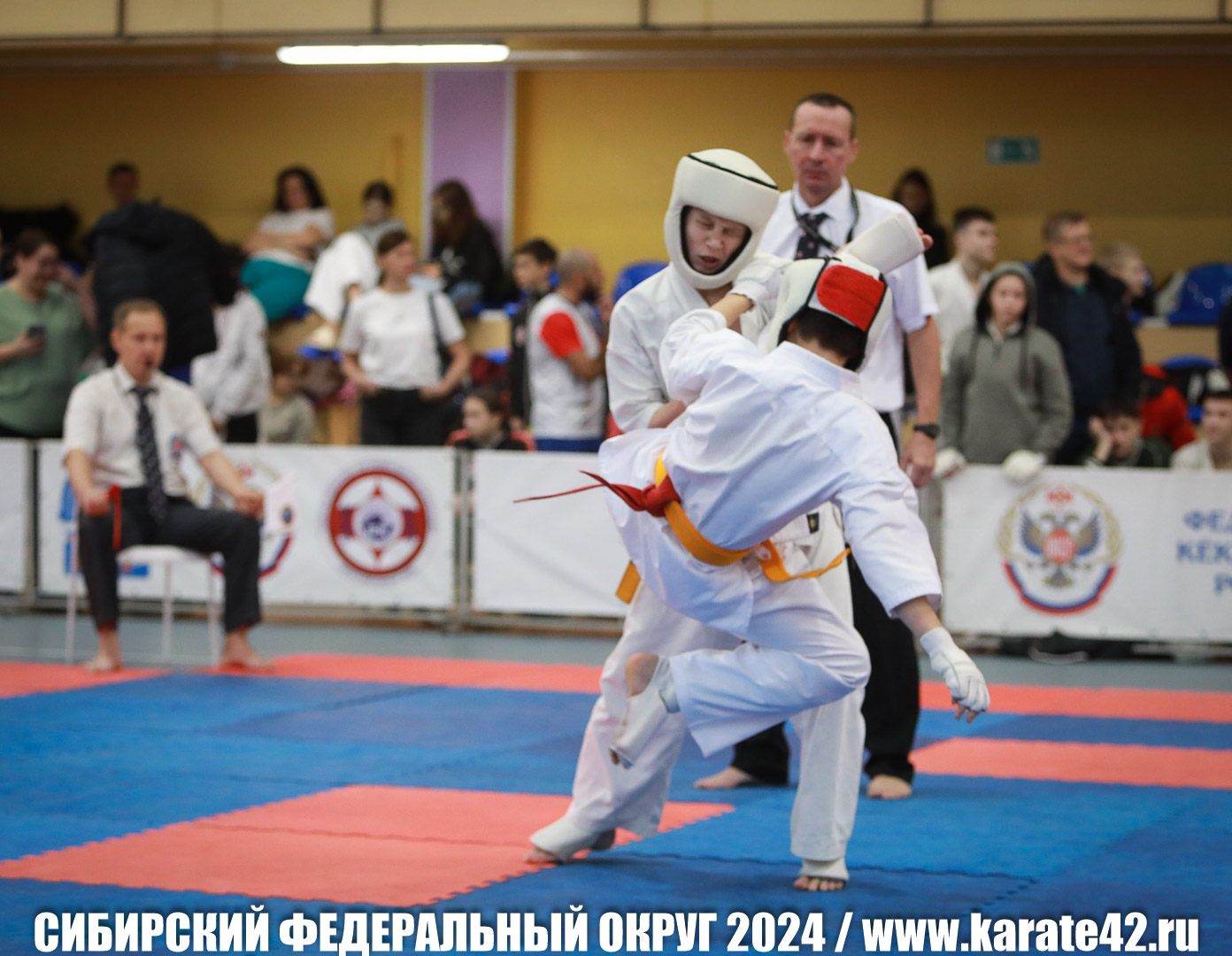 EfimovskiyYG-0095