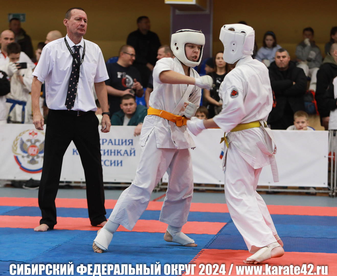 EfimovskiyYG-0135