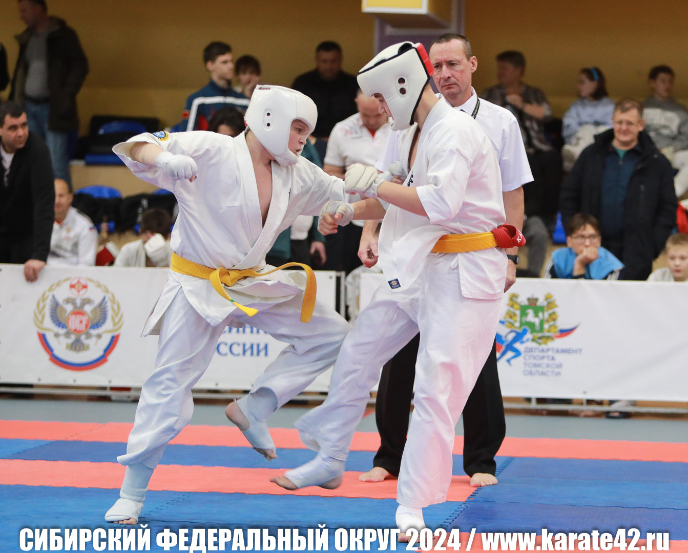 EfimovskiyYG-0179