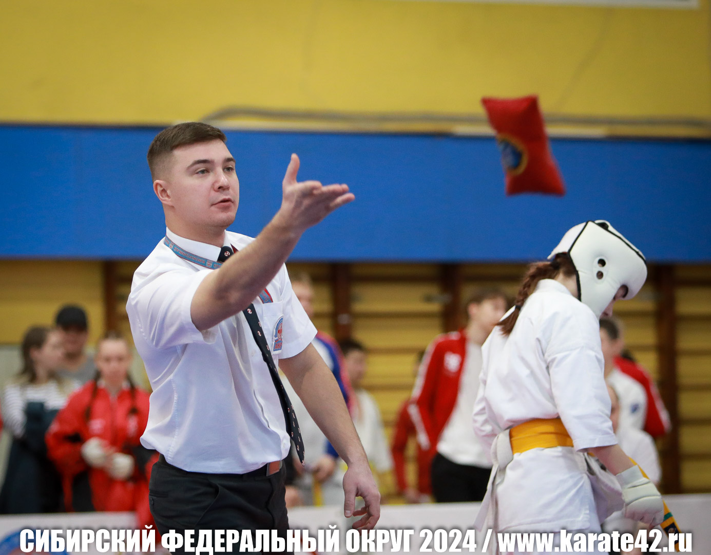 EfimovskiyYG-0227