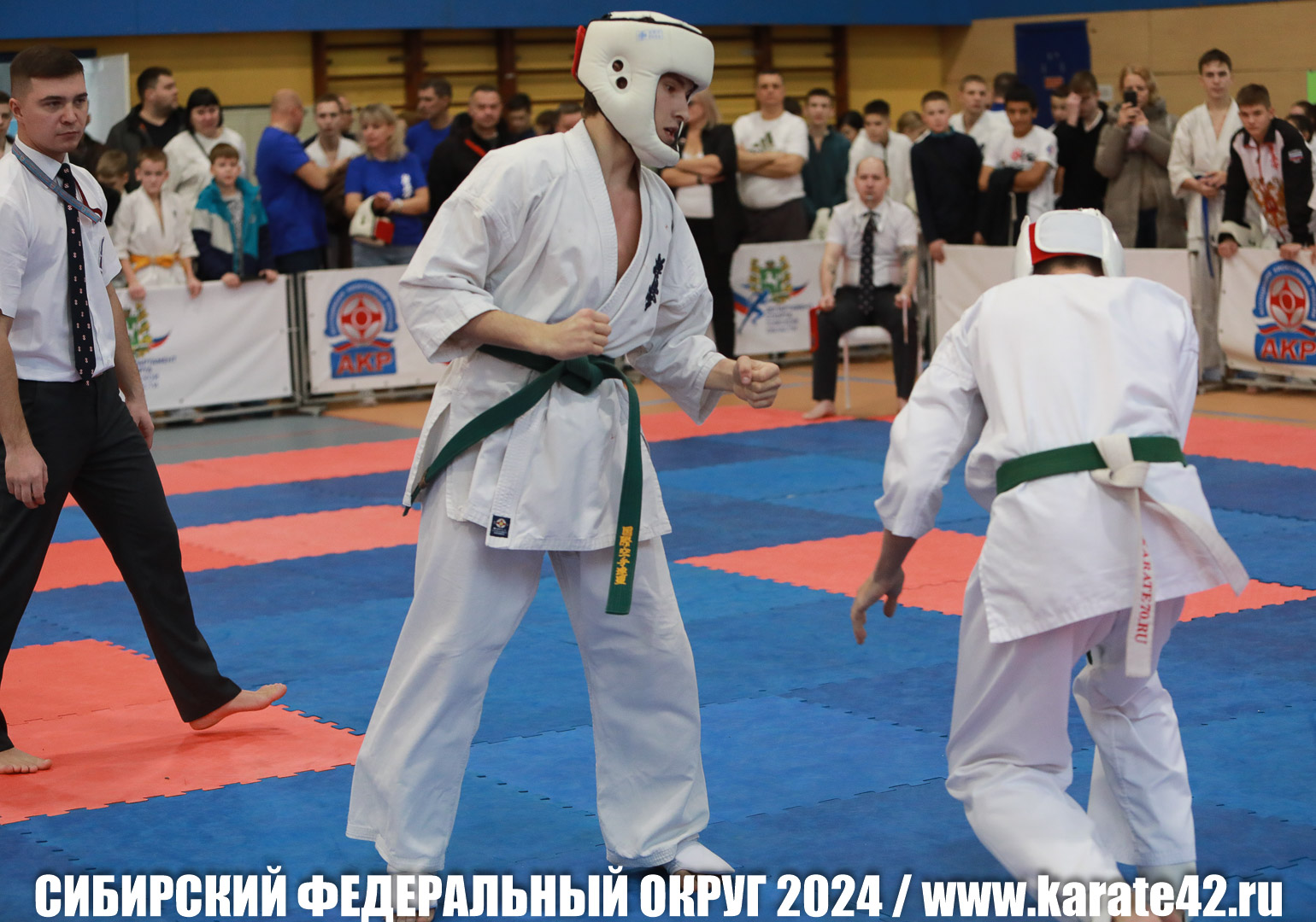 EfimovskiyYG-0252