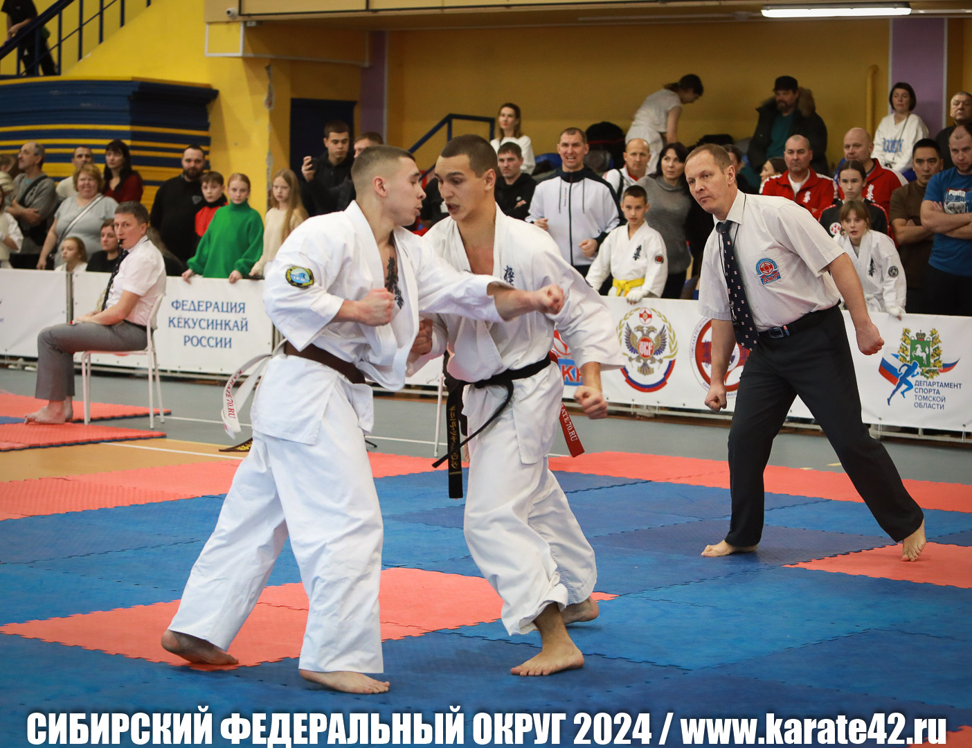 EfimovskiyYG-0411