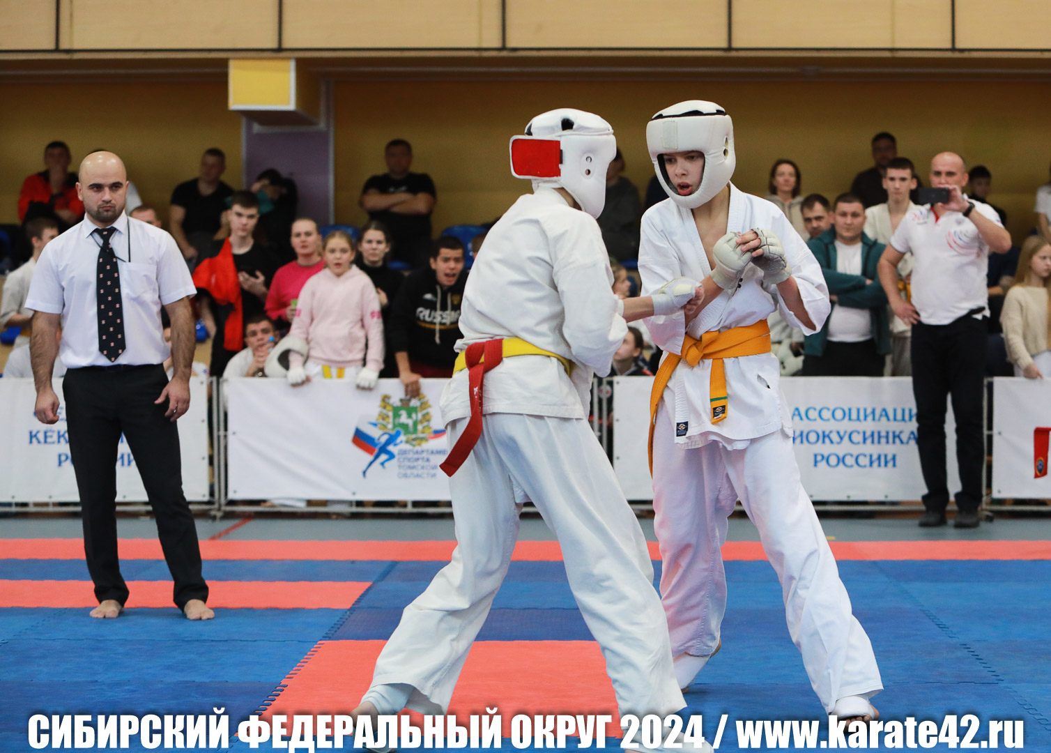 EfimovskiyYG-0529