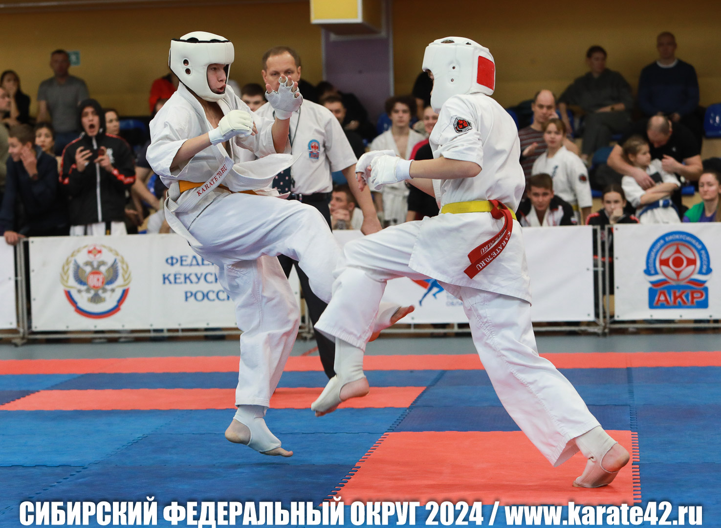 EfimovskiyYG-0542