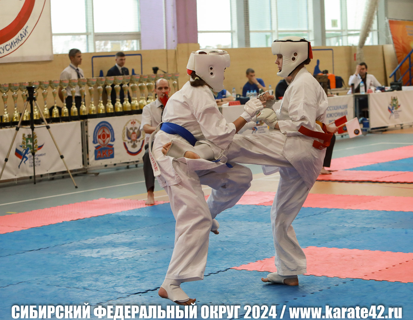 EfimovskiyYG-0652