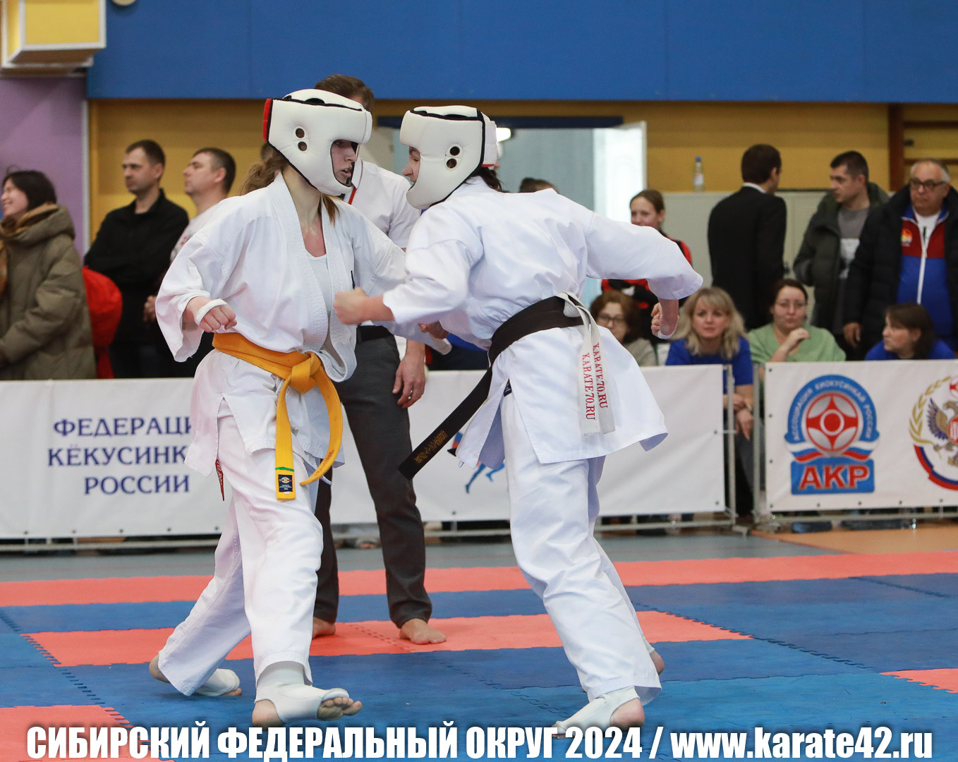 EfimovskiyYG-0761