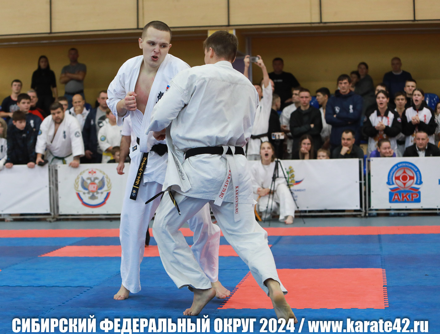 EfimovskiyYG-0801