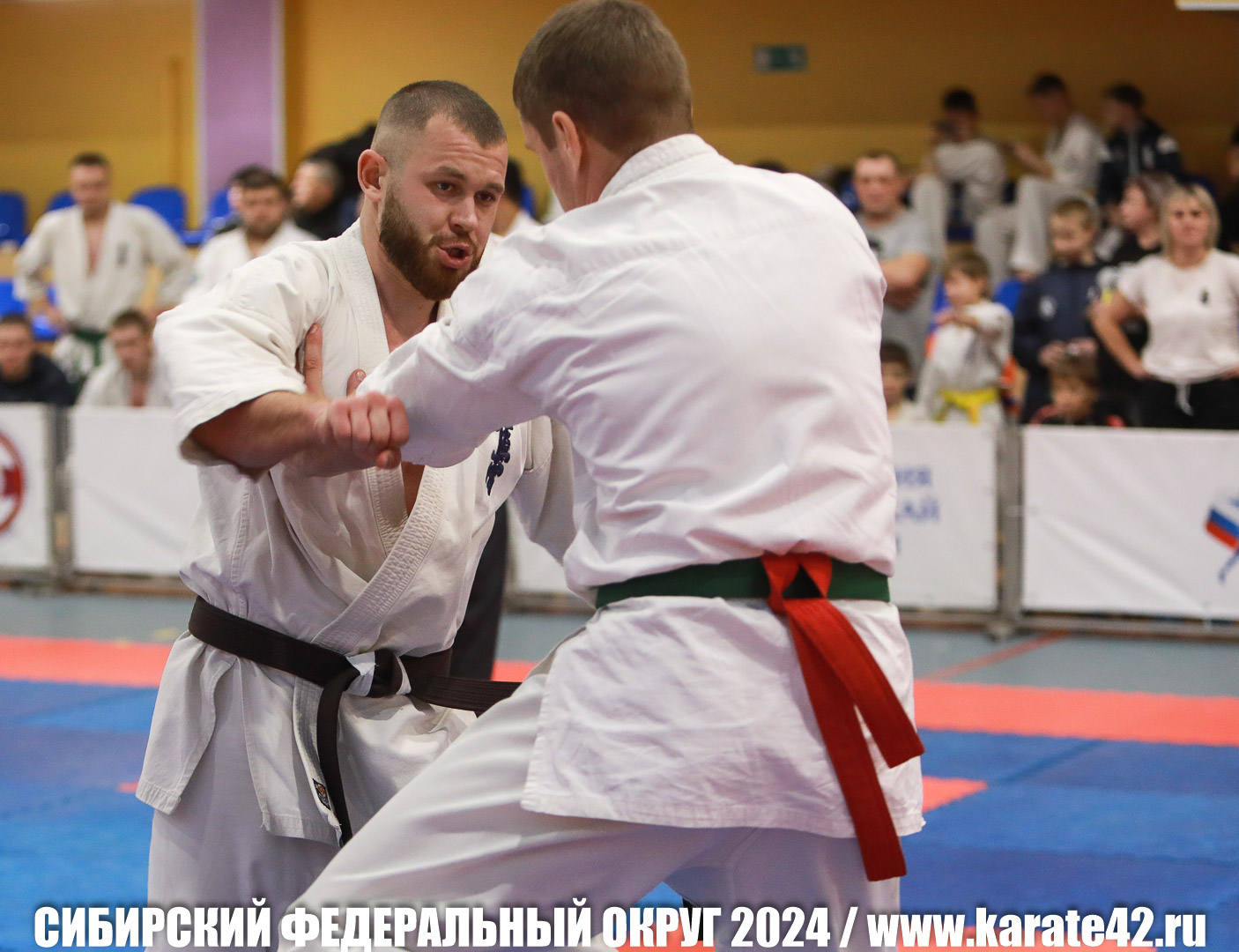 EfimovskiyYG-1064