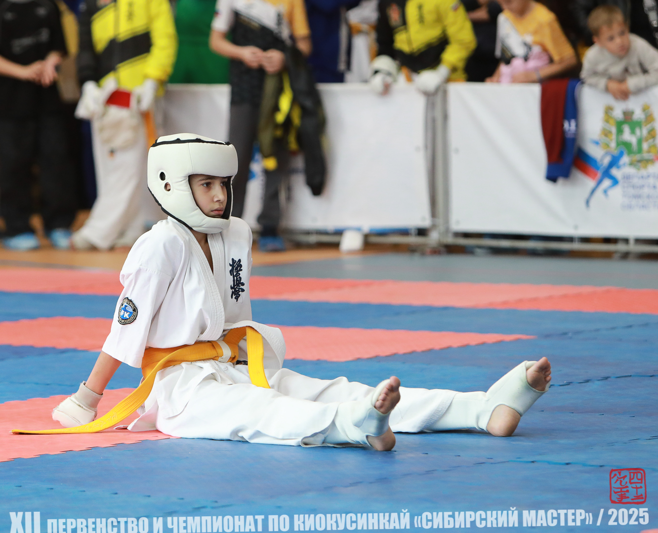 EfimovskiyYG25-1187