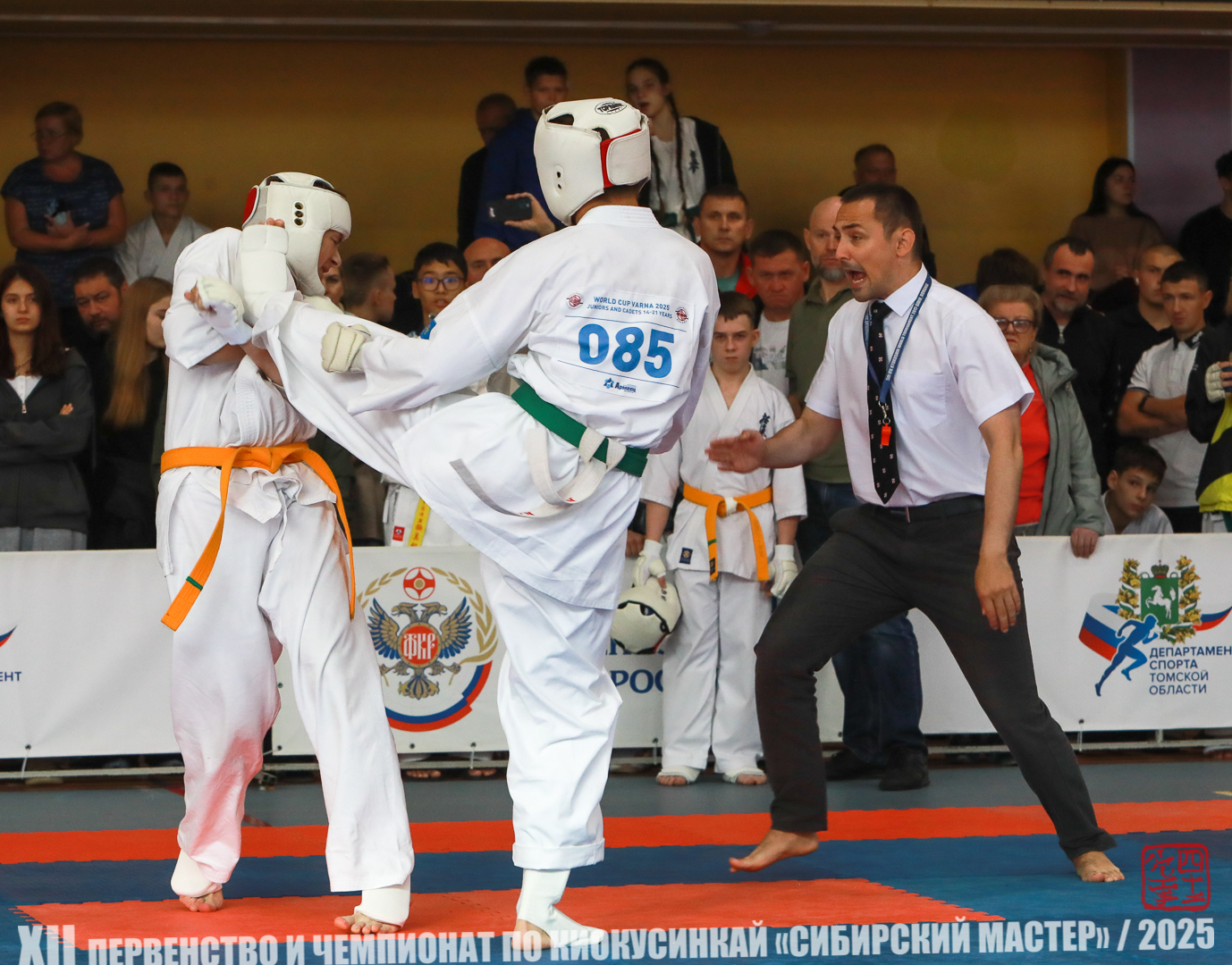 EfimovskiyYG25-1196