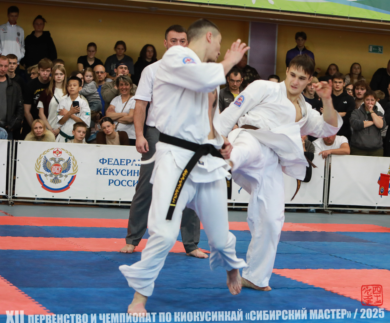 EfimovskiyYG25-2298