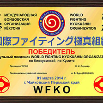 Титульный бой WFKO. Фарид Касумов-Павел Черепанов.1.03.2014