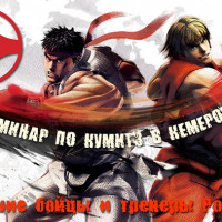 Сибирский семинар по кумитэ 21-22 феврвля 2026