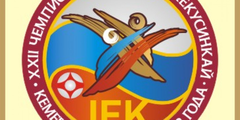 Прямая трансляция XXII чемпионата россии по кекусинкай
