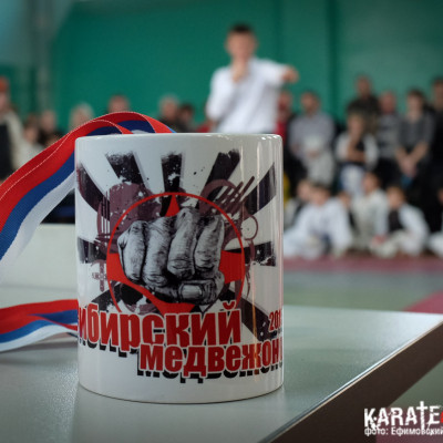 УТС по Кекусинкай 