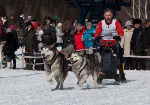 ICE RACE 2012, Кемерово