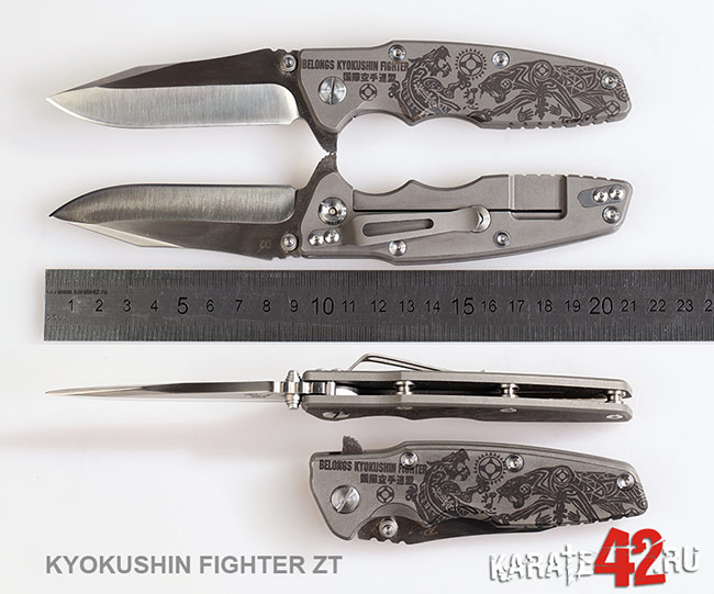 KYOKUSIN FIGHTER /ZT/